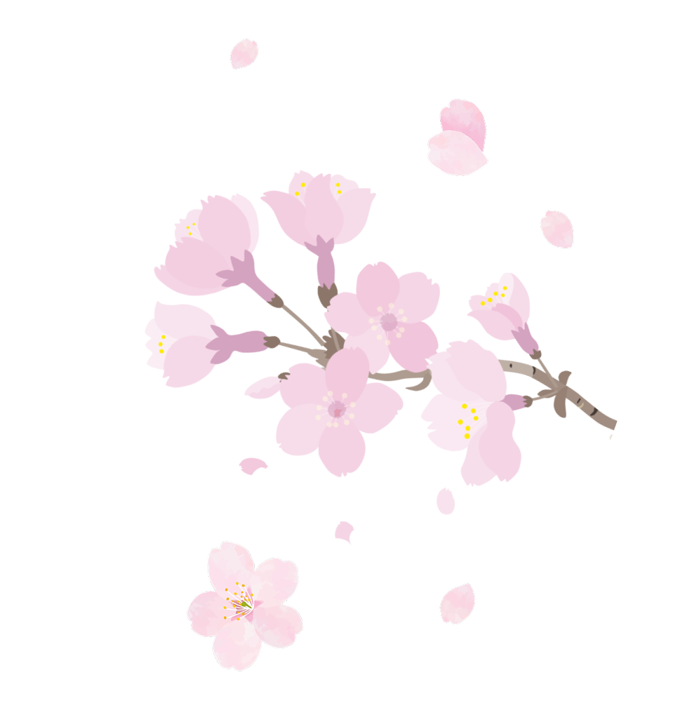 サクラの花びら