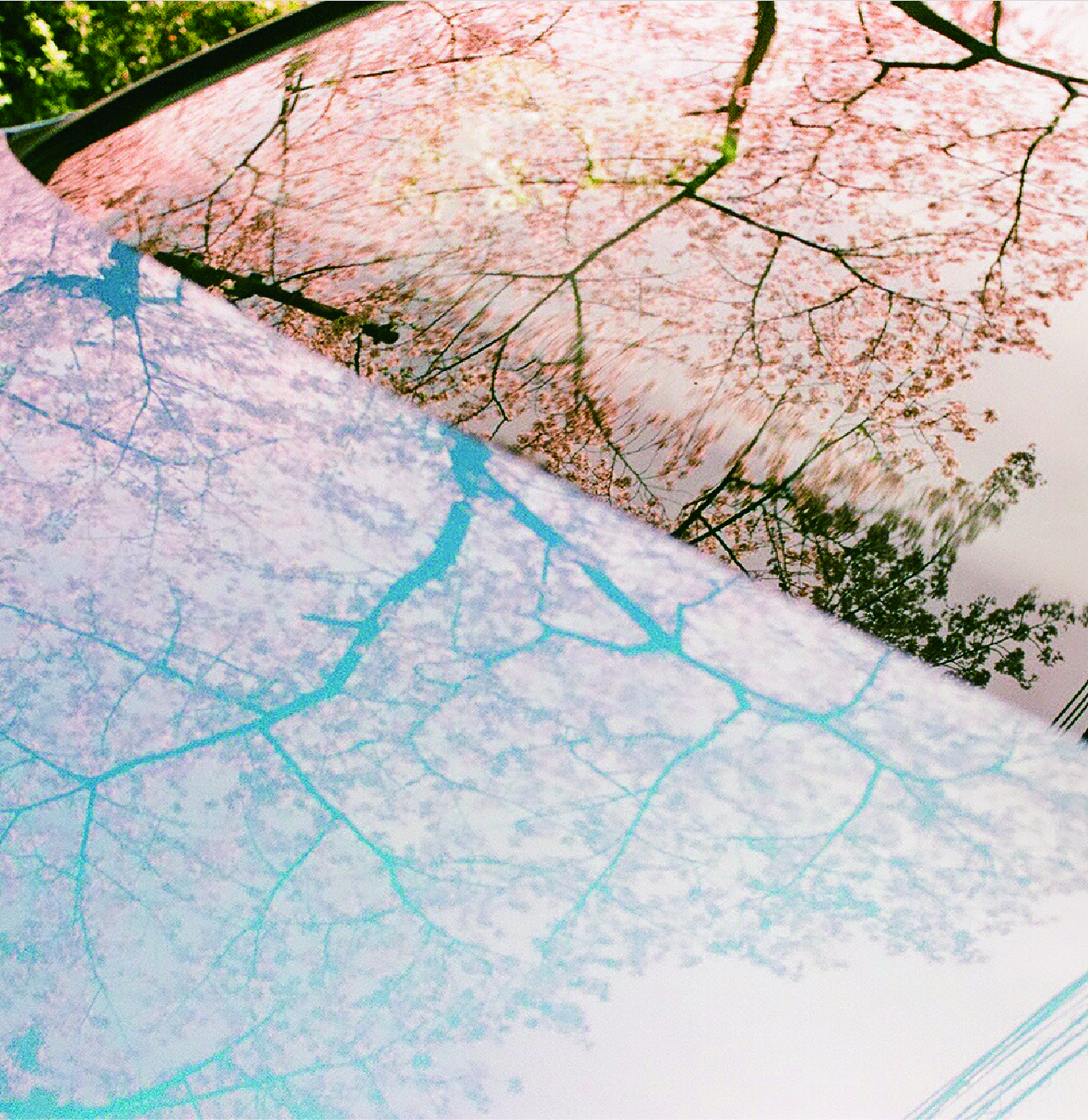 springspring