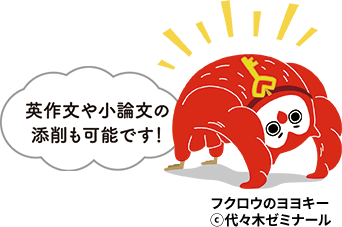 英作文や小論文の添削も可能です！