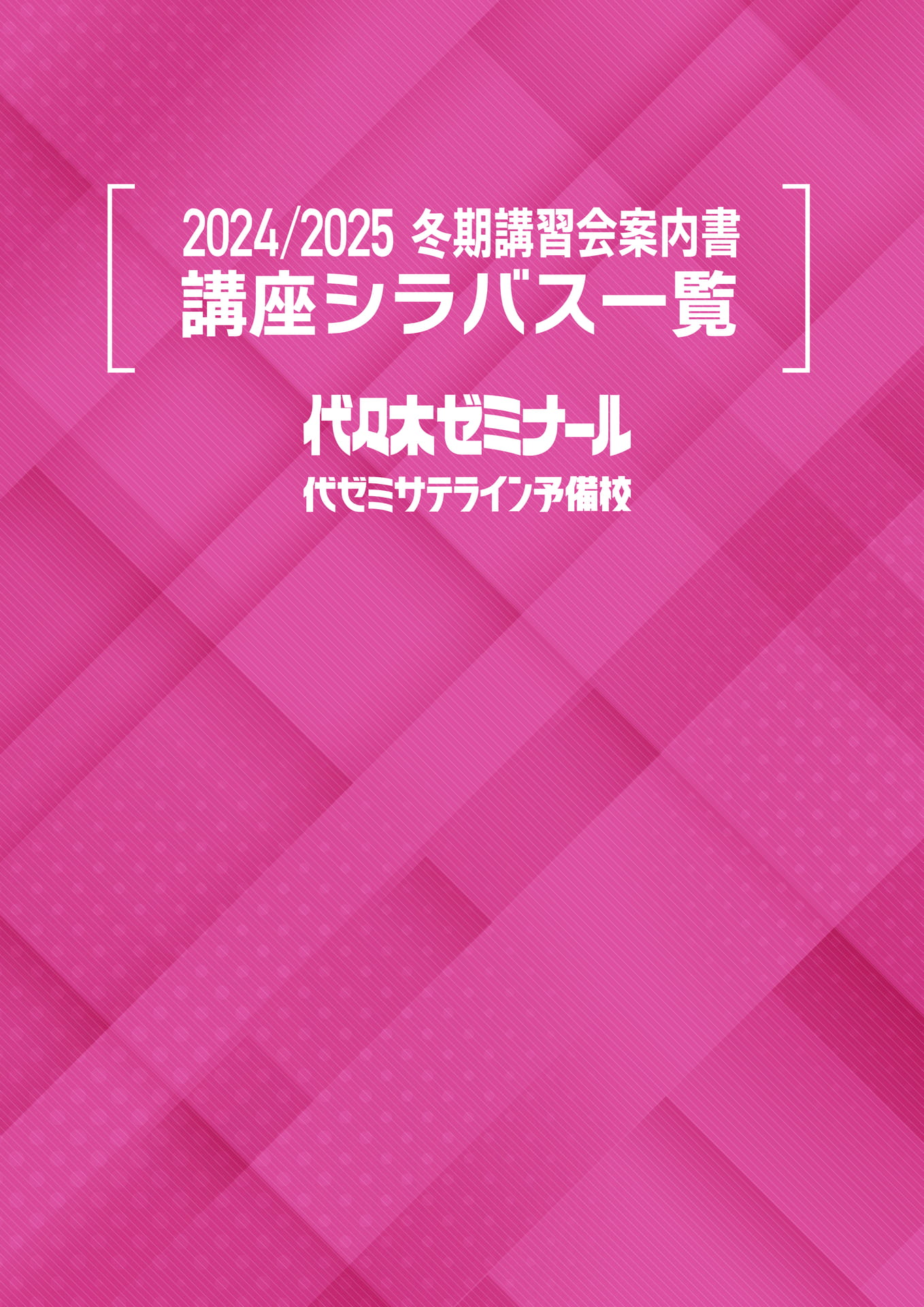 【裁断済】 ライティング総集編 2006年 代ゼミ冬期講習 代ゼミ 代々木ゼミナール ファイナルチェックリスト 読解編 富田