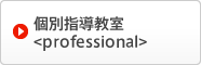 個別指導教室<professional>