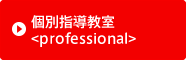 個別指導教室<professional>