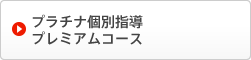 プラチナ個別指導プレミアムコース