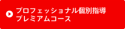 プロフェッショナル個別指導プレミアムコース
