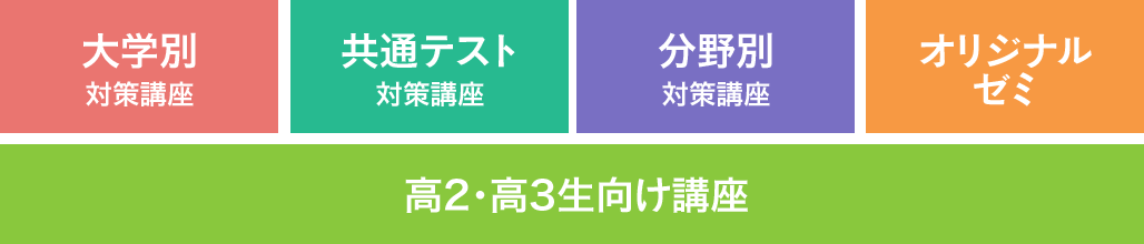 大学別 対策講座　共通テスト 対策講座　分野別 対策講座　オリジナルゼミ　高2・高3生向け講座