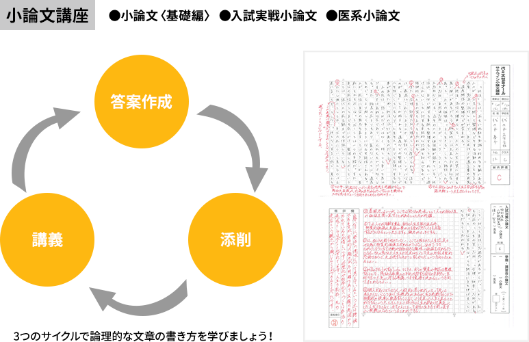 代々木ゼミナール（予備校） | 代ゼミオンラインコース | サポート