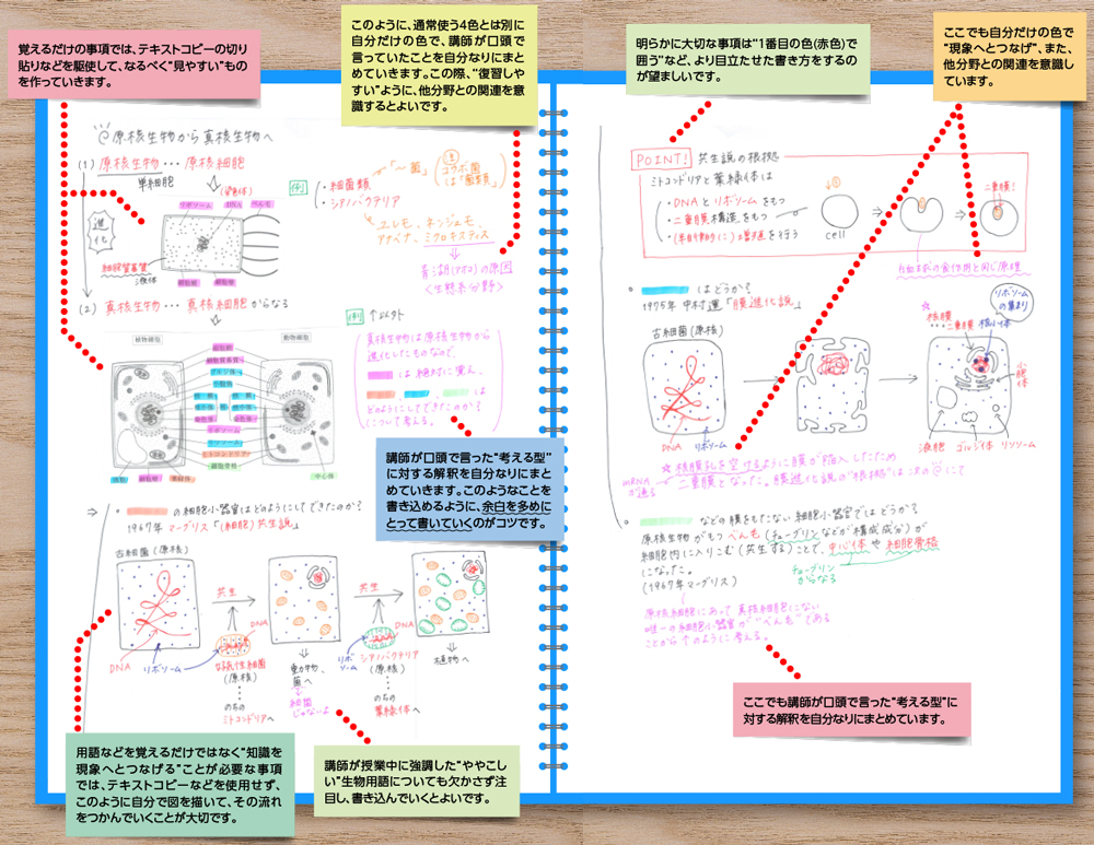 生物の授業ノート