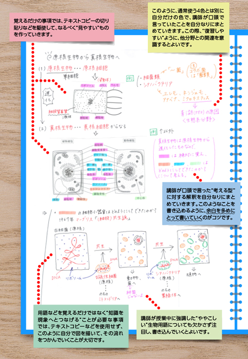 生物の授業ノート