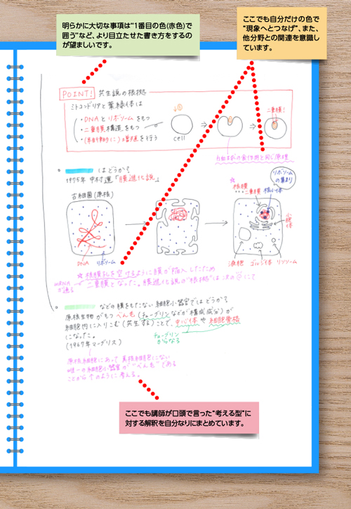 生物の授業ノート