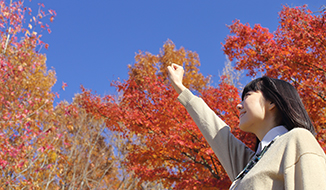 秋からの学習法・学習計画